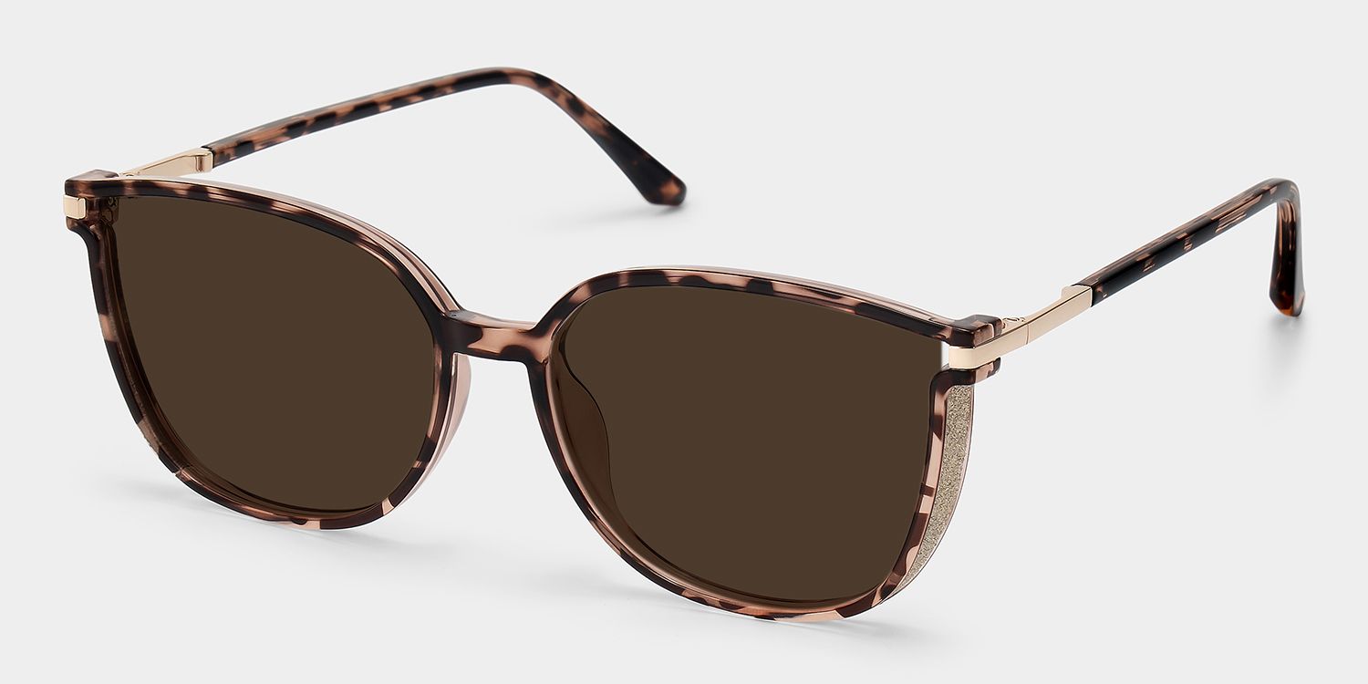 Walden Tr90 Braun-Tortoise Sonnenbrille | ZEELOOL2
