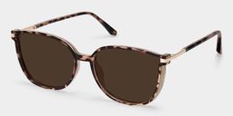 Walden Braun-Tortoise Quadratisch Sonnenbrille2
