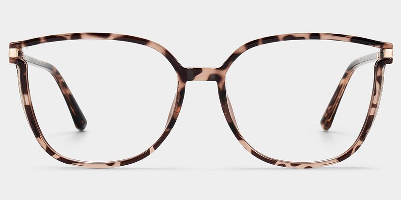 Walden Braun-Tortoise Quadratisch Brille