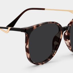 Babbage Schwarz-Tortoise Rund Sonnenbrille4