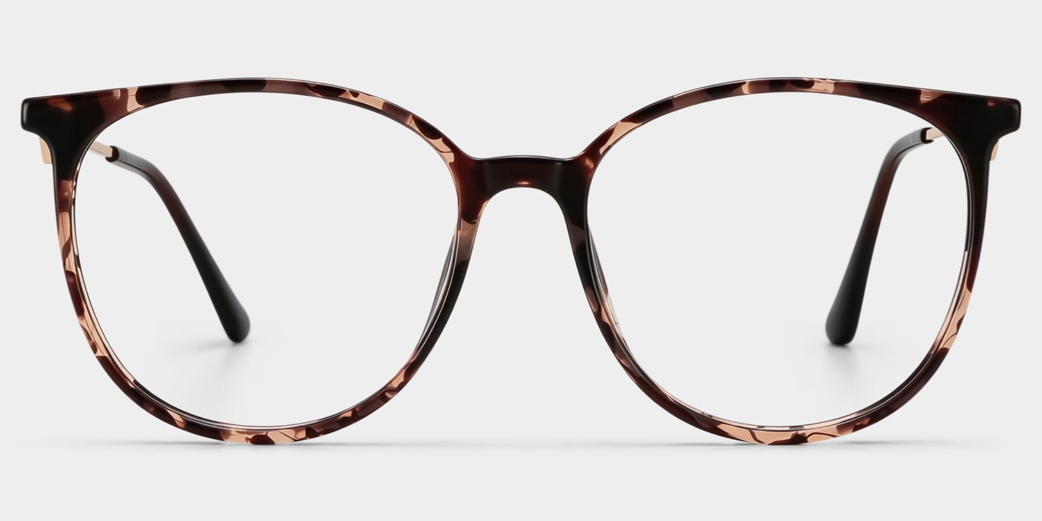Babbage glasses 1