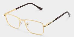 Denny Gold Rechteckig Brille3
