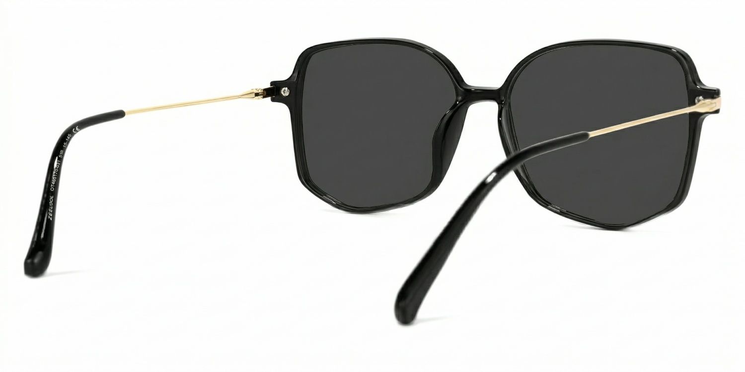 Payton Tr90 Schwarz Geometric Sonnenbrille | ZEELOOL4