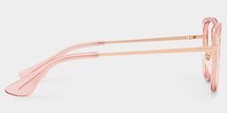 Celine Rosa Cateye Brille6