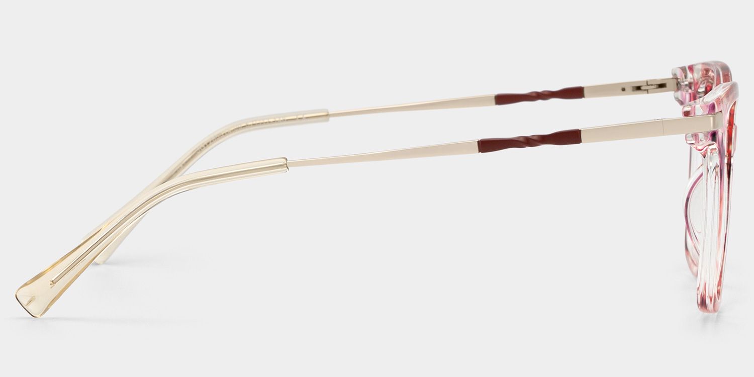 Jacqui Rosa-Tortoise Quadratisch Brille6