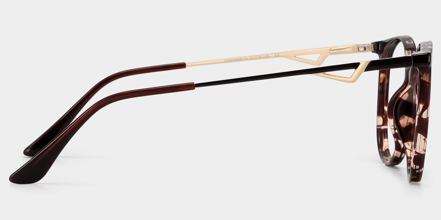 Babbage Schwarz-Tortoise Rund Brille4