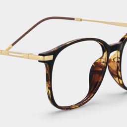 Greene Tortoise Quadratisch Brille4