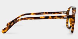 Luna Tortoise Pilot Brille3