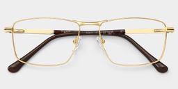 Denny Gold Rechteckig Brille3