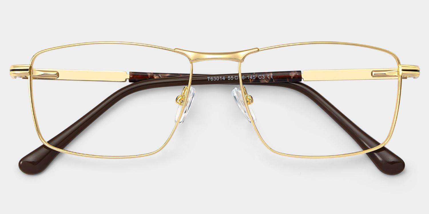 Denny Gold Rechteckig Brille2