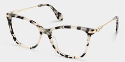 Westley Tortoise Schmetterling-Form Brillen2