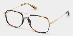 Poppy Tortoise Pilot Brille3