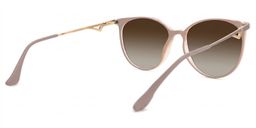 Babbage Hellbraun Rund Brille3