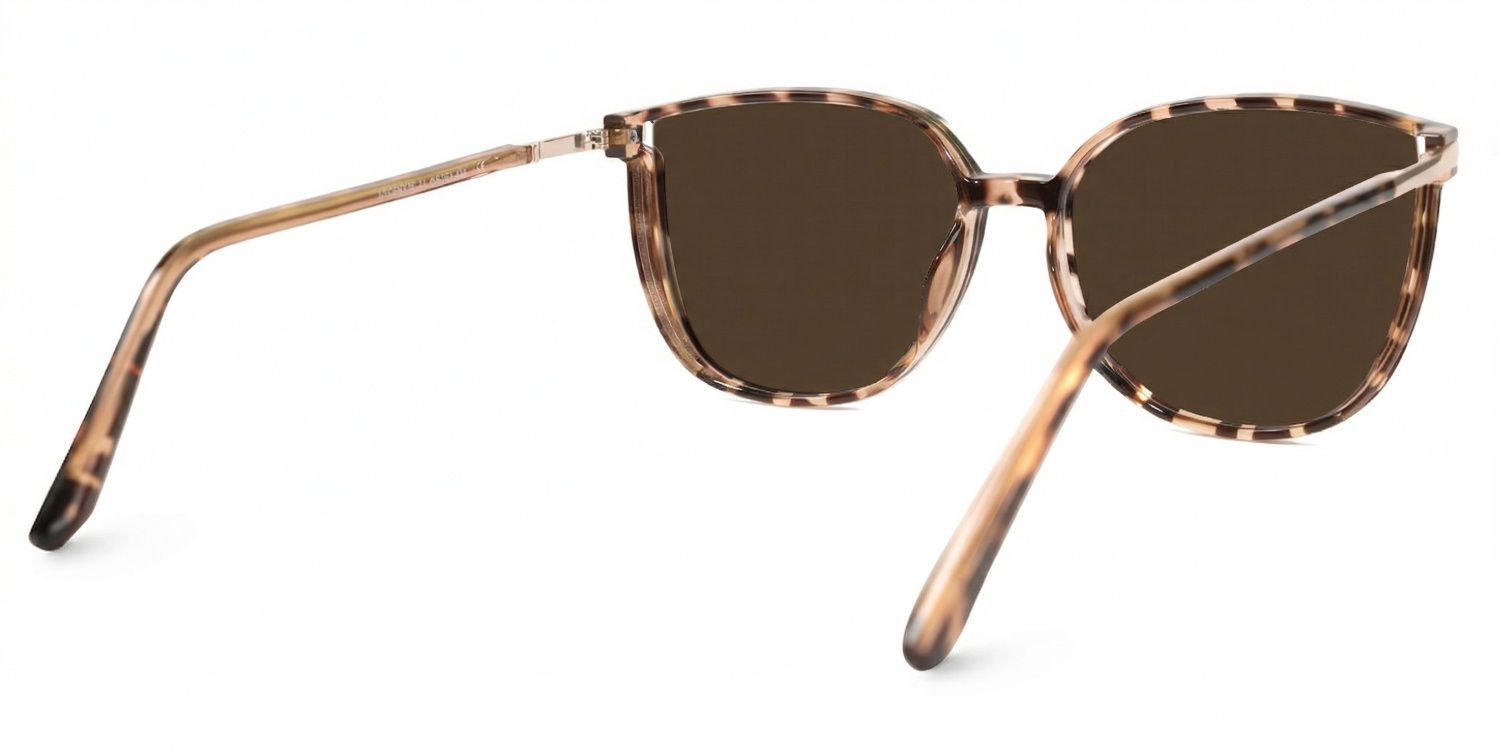 Walden Tr90 Braun-Tortoise Sonnenbrille | ZEELOOL3