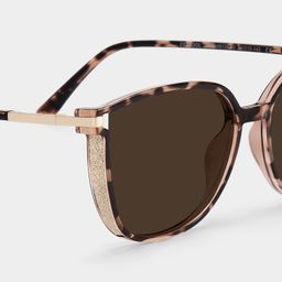 Walden Braun-Tortoise Quadratisch Sonnenbrille4