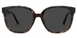 Siner Schwarz-Tortoise Quadratisch Brille0