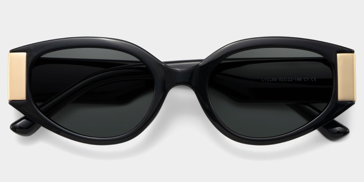 Silvia Geometric Schwarz Sonnenbrillen für Damen und Herren | ZEELOOL1