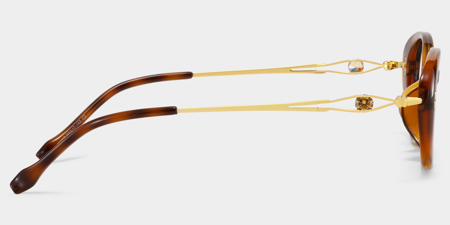 Blaire Tortoise Oval Brille4