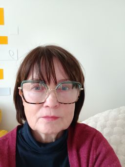 Ein schönes Brillengestell mit gut eingearbeiteten Gleitsichtgläsern. 0