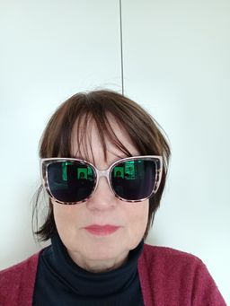 Top Sonnenbrille mit Gleitsichtgläsern,  schöner Rahmen und gute Tönun0