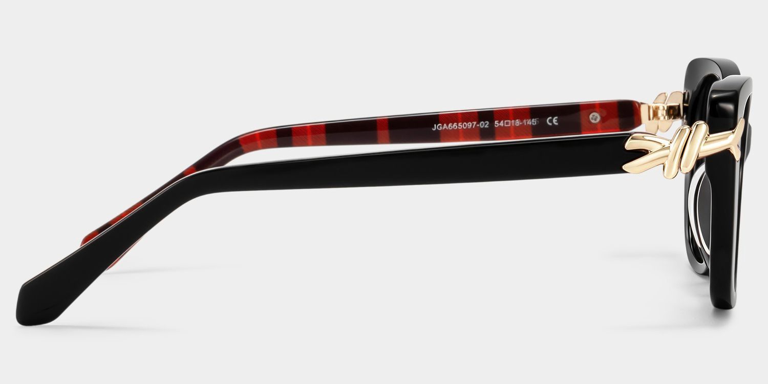 Isolde Schwarz Cateye Brille | ZEELOOL5