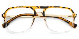 Berkeley Tortoise-Klar Pilot Brille1