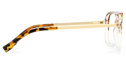 Berkeley Tortoise-Klar Pilot Brille3