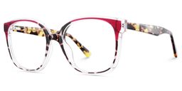 Siner Rot-Tortoise Quadratisch Brille3