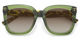Ebony Grün-Tortoise Quadratisch Sonnenbrille1