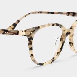 Daisy Tortoise Rund Brille4