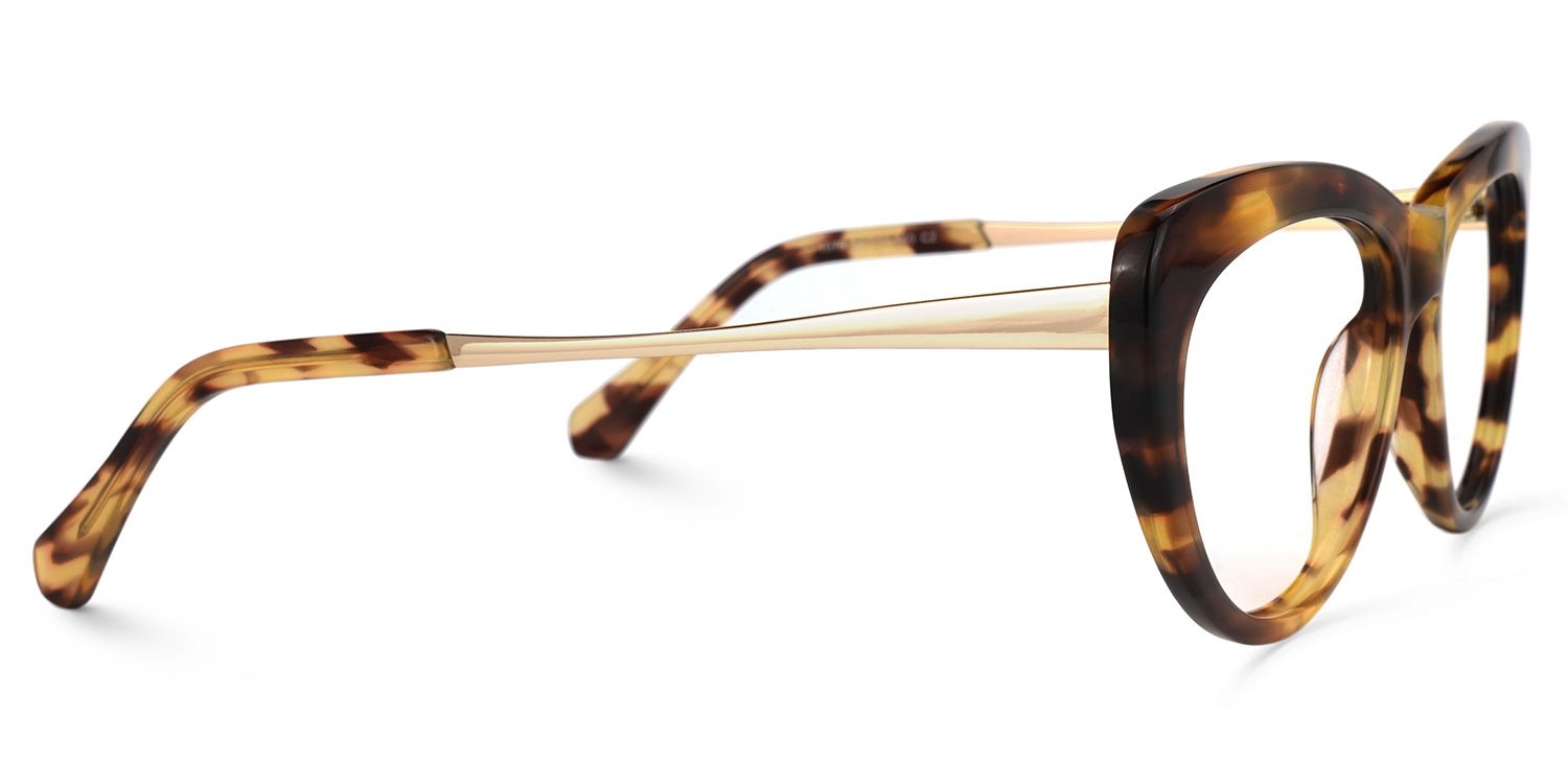 Abdon Braun-Tortoise Cateye Brille2