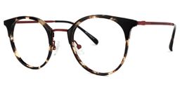 Derry Schwarz-Tortoise Rund Brille1