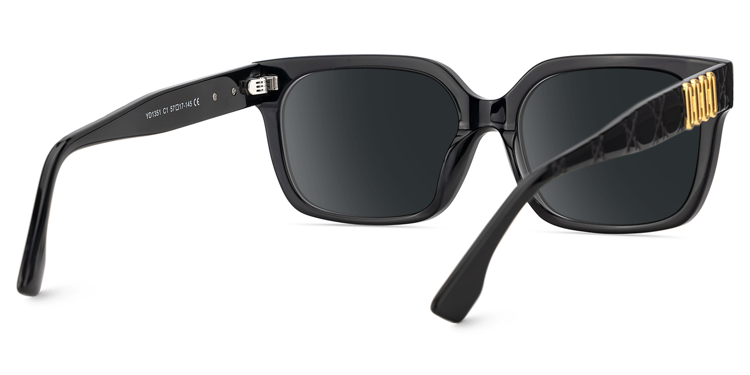 Liesel Schwarz Rechteckig Acetat Sonnenbrille4