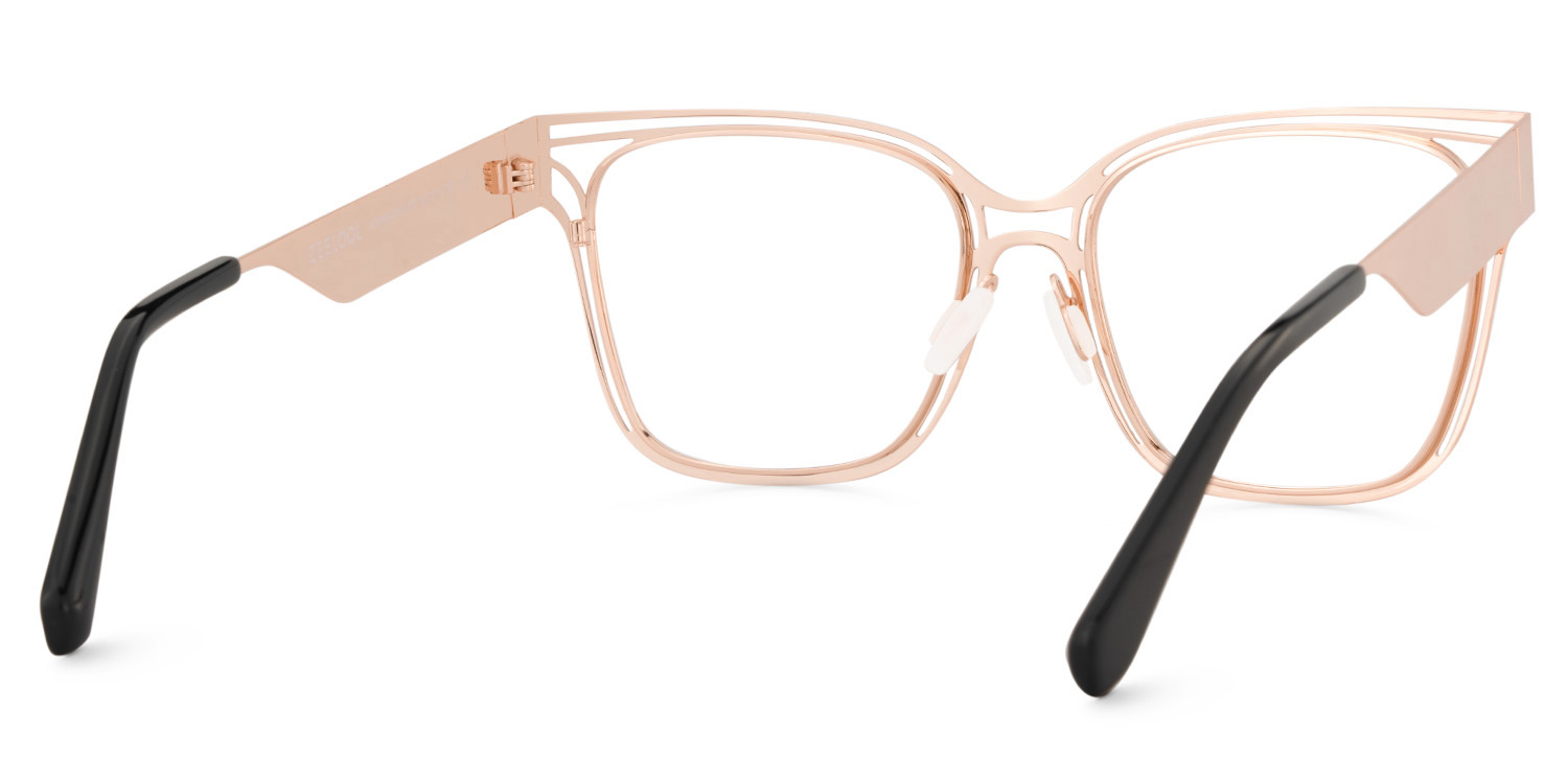 Dacarine Tortoise Quadratisch Brille4