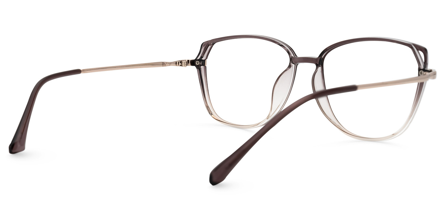 Haygood Braun Klar Cateye Brille3