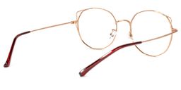 Paddy Rot Geometrich Brille3