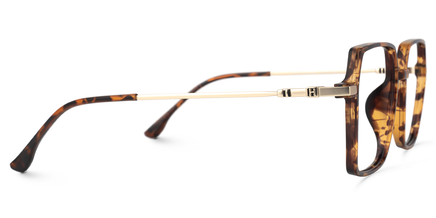 Jimenez Tortoise Rechteckig Brille3