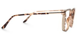 Walden Braun-Tortoise Cateye Brille4
