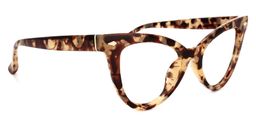 Maite Tortoise Cateye Brille2