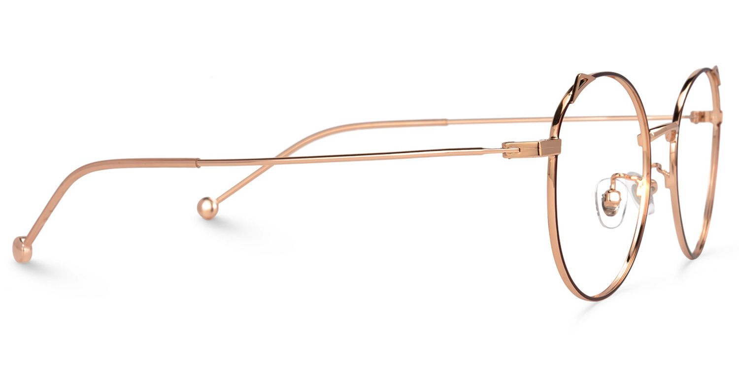 Chadwick Rot-Gold Rund Brille2