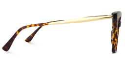 Isaebella Tortoise Schmetterling-Form Brillen3