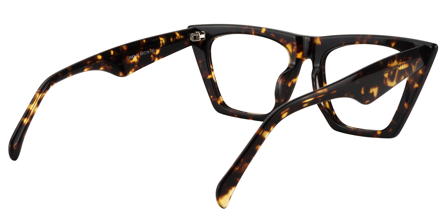 Cecile  Tortoise Cat Eye Brille4