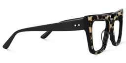 Gipson Braun-Leo Cateye Brille3