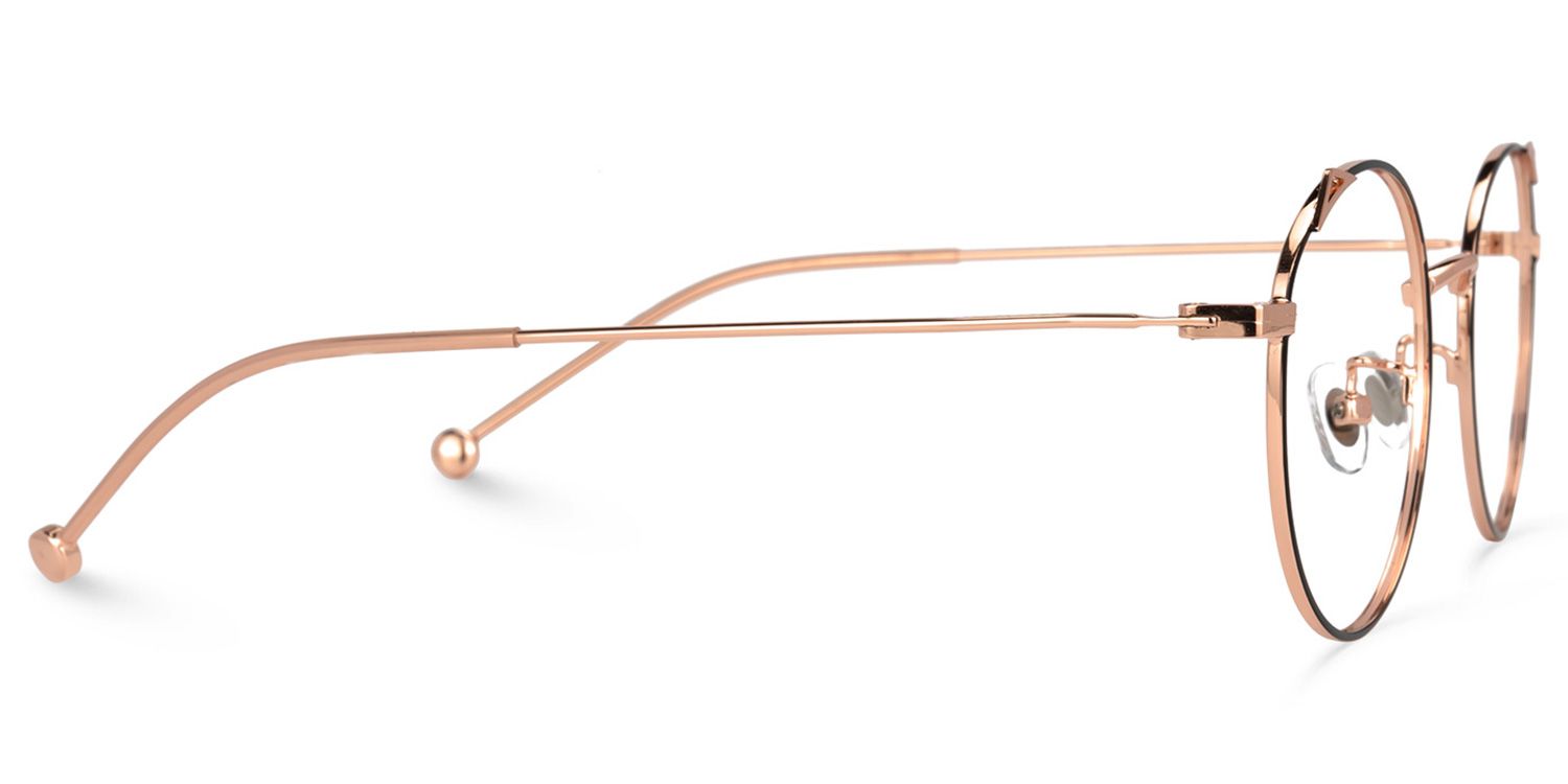 Chadwick Schwarz-Gold Rund Brille2