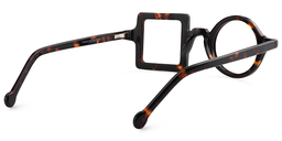 Paola Schwarz Tortoise Geometrisch Brille6