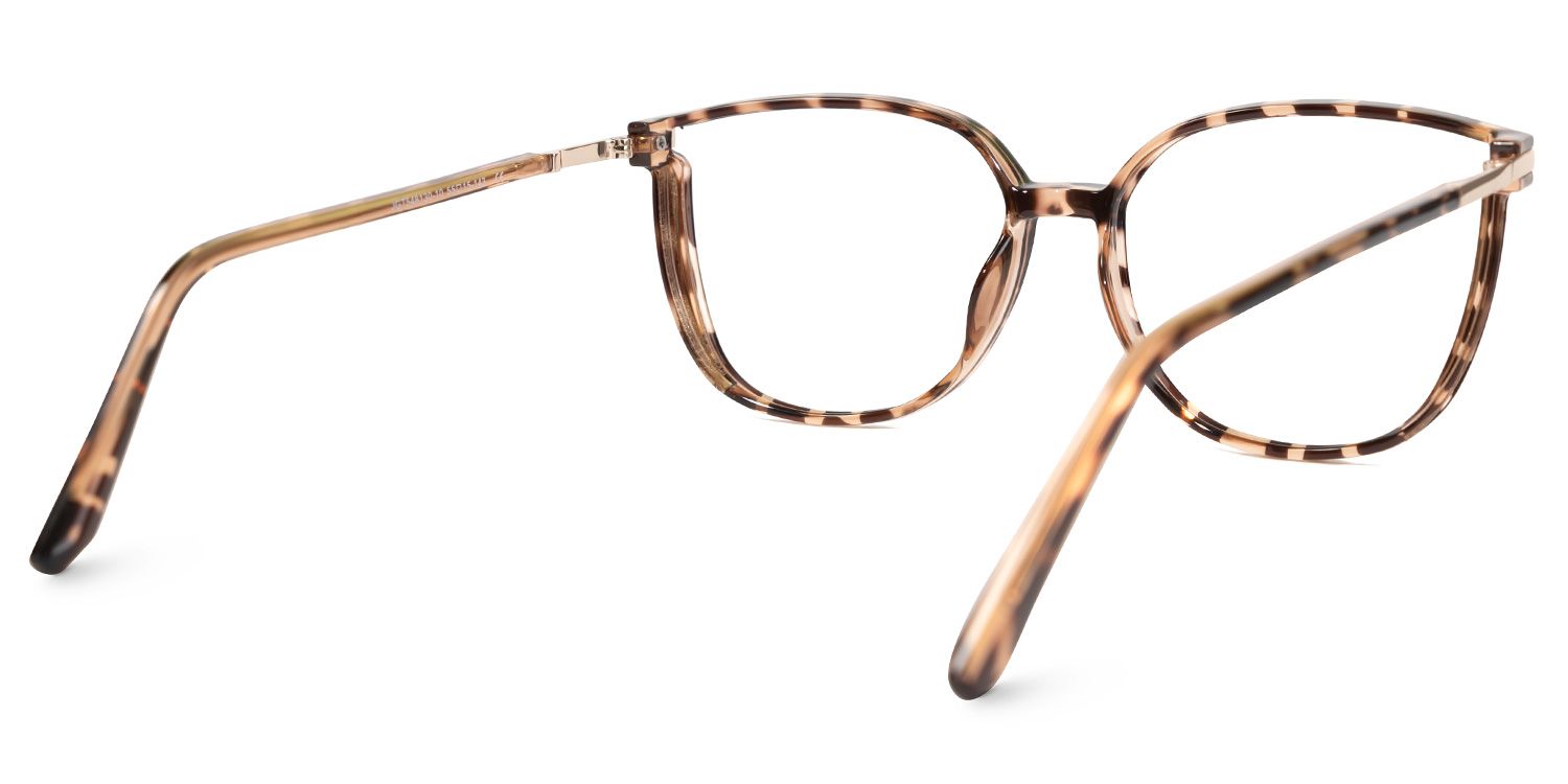 Walden Braun-Tortoise Cateye Brille3