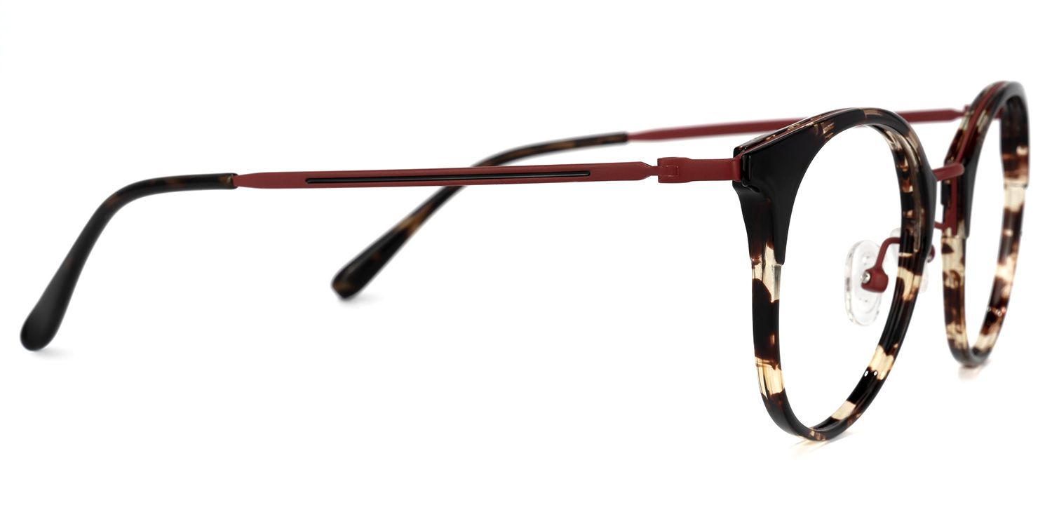 Derry Schwarz-Tortoise Rund Brille2