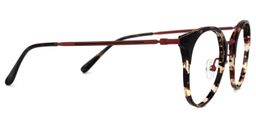 Derry Schwarz-Tortoise Rund Brille2