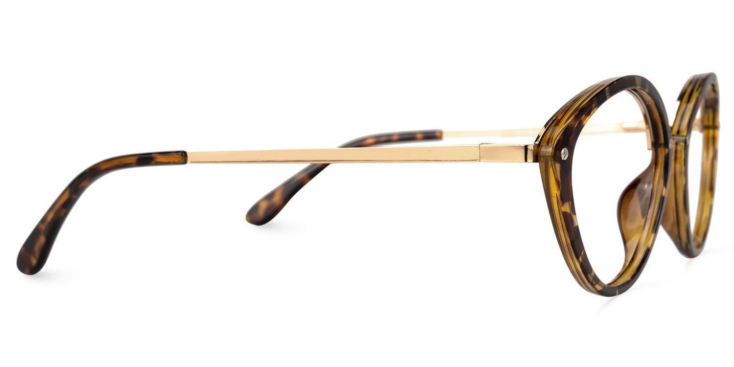 Paulus Braun-Tortoise Oval Brille3