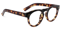 Malloy Tortoise Rund Brille3